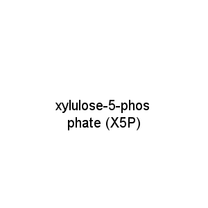 xylulose-5-phosphate (X5P)